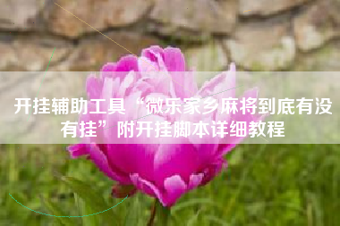 开挂辅助工具“微乐家乡麻将到底有没有挂”附开挂脚本详细教程