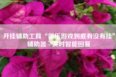 开挂辅助工具“微乐游戏到底有没有挂	”辅助器 - 实时智能回复