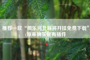 推荐一款“微乐河北麻将开挂免费下载”(原来确实是有插件