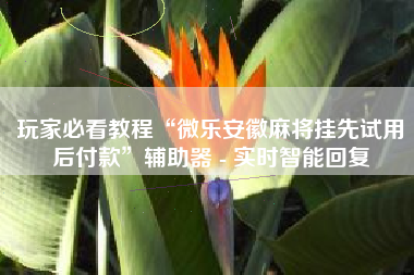 玩家必看教程“微乐安徽麻将挂先试用后付款”辅助器 - 实时智能回复