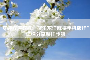 安装程序教程“微乐龙江麻将手机版挂”详细分享装挂步骤