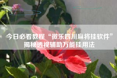 今日必看教程“微乐四川麻将挂软件”揭秘透视辅助万能挂用法