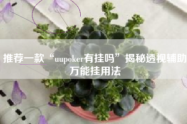 推荐一款“uupoker有挂吗”揭秘透视辅助万能挂用法