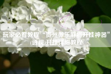 玩家必看教程“贵州微乐麻将开挂神器	”(透视)开挂详细教程