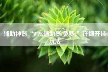 辅助神器“WPK辅助器(免费)”详细开挂玩法
