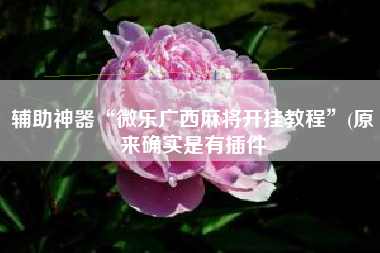 辅助神器“微乐广西麻将开挂教程	”(原来确实是有插件