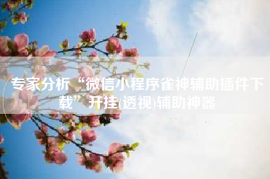 专家分析“微信小程序雀神辅助插件下载	”开挂(透视)辅助神器