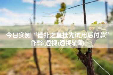 今日实测“德扑之星挂先试用后付款	”作弊(透视)透视辅助