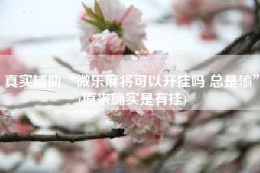 真实辅助“微乐麻将可以开挂吗 总是输”(原来确实是有挂)