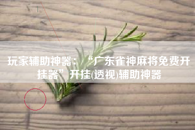 玩家辅助神器：“广东雀神麻将免费开挂器”开挂(透视)辅助神器