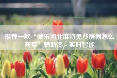 推荐一款“微乐河北麻将免费房间怎么开挂”辅助器 - 实时智能