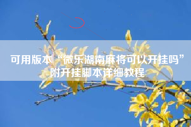 可用版本“微乐湖南麻将可以开挂吗”附开挂脚本详细教程