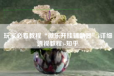 玩家必看教程“微乐开挂辅助器	”(详细透视教程)-知乎