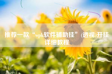 推荐一款“wpk软件辅助挂	”(透视)开挂详细教程