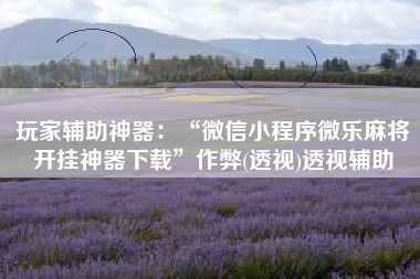 玩家辅助神器：“微信小程序微乐麻将开挂神器下载	”作弊(透视)透视辅助