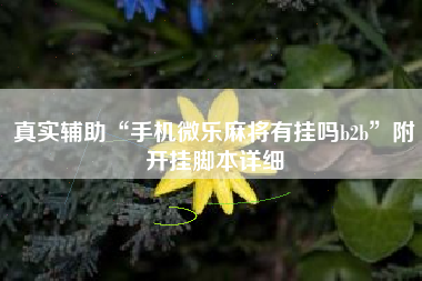 真实辅助“手机微乐麻将有挂吗b2b”附开挂脚本详细