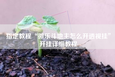 指定教程“微乐斗地主怎么开透视挂”开挂详细教程