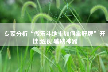 专家分析“微乐斗地主如何拿好牌”开挂(透视)辅助神器