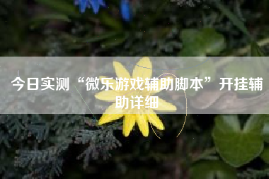 今日实测“微乐游戏辅助脚本	”开挂辅助详细