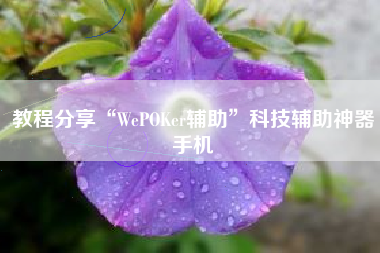 教程分享“WePOKer辅助”科技辅助神器手机