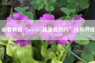必看教程“wepoker挂是真的吗”详细开挂