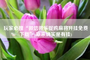 玩家必搜“微信微乐捉鸡麻将开挂免费下载”(原来确实是有挂)