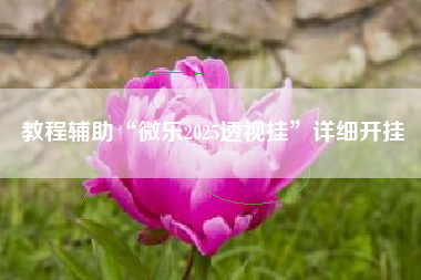 教程辅助“微乐2025透视挂	”详细开挂