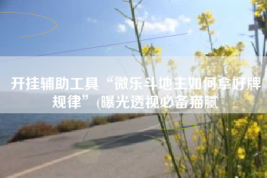 开挂辅助工具“微乐斗地主如何拿好牌规律”(曝光透视必备猫腻