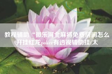 教程辅助“微乐河北麻将免费房间怎么开挂红龙poker有透视辅助挂(太