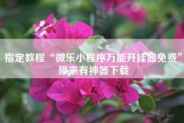指定教程“微乐小程序万能开挂器免费”原来有神器下载