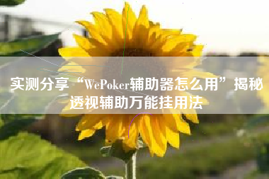 实测分享“WePoker辅助器怎么用”揭秘透视辅助万能挂用法