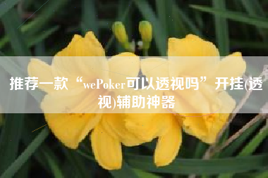 推荐一款“wePoker可以透视吗	”开挂(透视)辅助神器