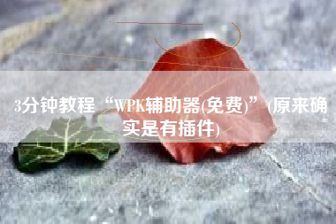 3分钟教程“WPK辅助器(免费)”(原来确实是有插件)