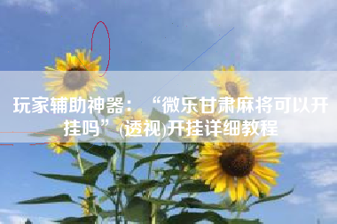 玩家辅助神器：“微乐甘肃麻将可以开挂吗	”(透视)开挂详细教程