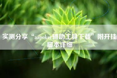实测分享“aapoker辅助工具下载”附开挂脚本详细