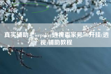 真实辅助“wepoker透视百家号”开挂(透视)辅助教程
