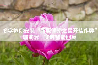 必学教你安装“新版德扑之星开挂作弊”辅助器 - 实时智能回复