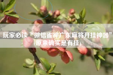 玩家必读“微信雀神广东麻将开挂神器	”(原来确实是有挂)