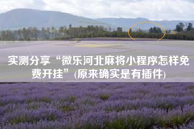 实测分享“微乐河北麻将小程序怎样免费开挂	”(原来确实是有插件)