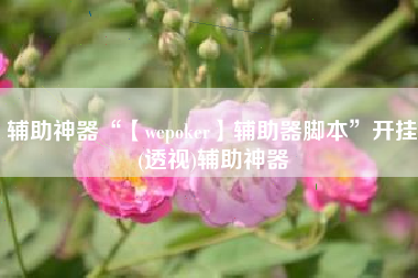 辅助神器“【wepoker】辅助器脚本”开挂(透视)辅助神器