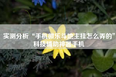 实测分析“手机微乐斗地主挂怎么弄的”科技辅助神器手机
