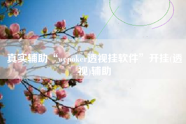 真实辅助“wepoker透视挂软件	”开挂(透视)辅助