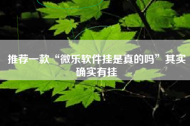推荐一款“微乐软件挂是真的吗	”其实确实有挂