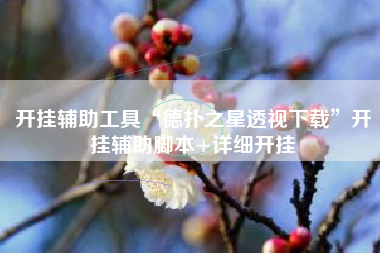 开挂辅助工具“德扑之星透视下载	”开挂辅助脚本+详细开挂