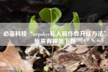 必备科技“wepoker私人局作弊开挂方法”原来有神器下载