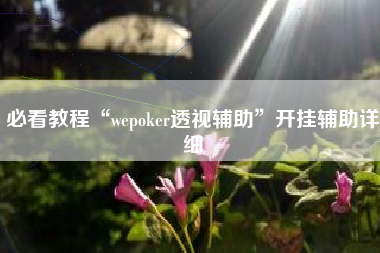 必看教程“wepoker透视辅助”开挂辅助详细