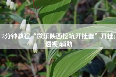 3分钟教程“微乐陕西挖坑开挂器”开挂(透视)辅助