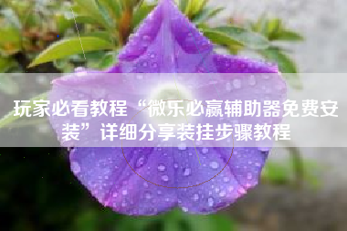 玩家必看教程“微乐必赢辅助器免费安装”详细分享装挂步骤教程