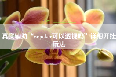 真实辅助“wepoker可以透视吗”详细开挂玩法