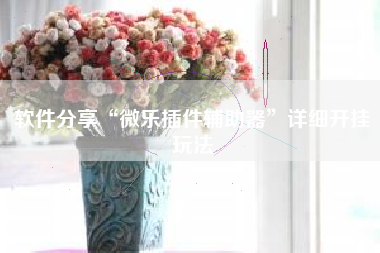 软件分享“微乐插件辅助器”详细开挂玩法